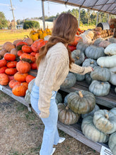 Load image into Gallery viewer, Teddi Cable Knit Cardigan- Taupe