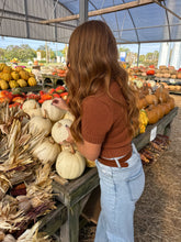 Load image into Gallery viewer, Dawson Knit Top- Brown