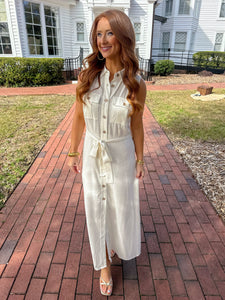 Carla Collared Button Down Mini Dress
