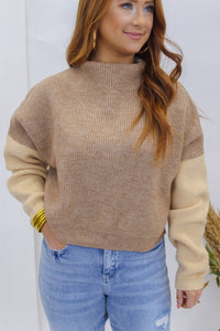Cute & Cuddly Colorblock Sweater